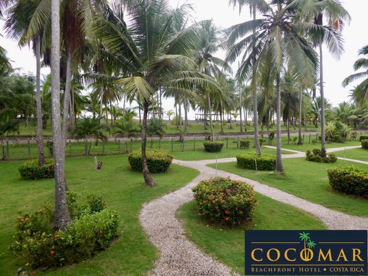 Cocomar Beachfront Hotel Parrita Zewnętrze zdjęcie