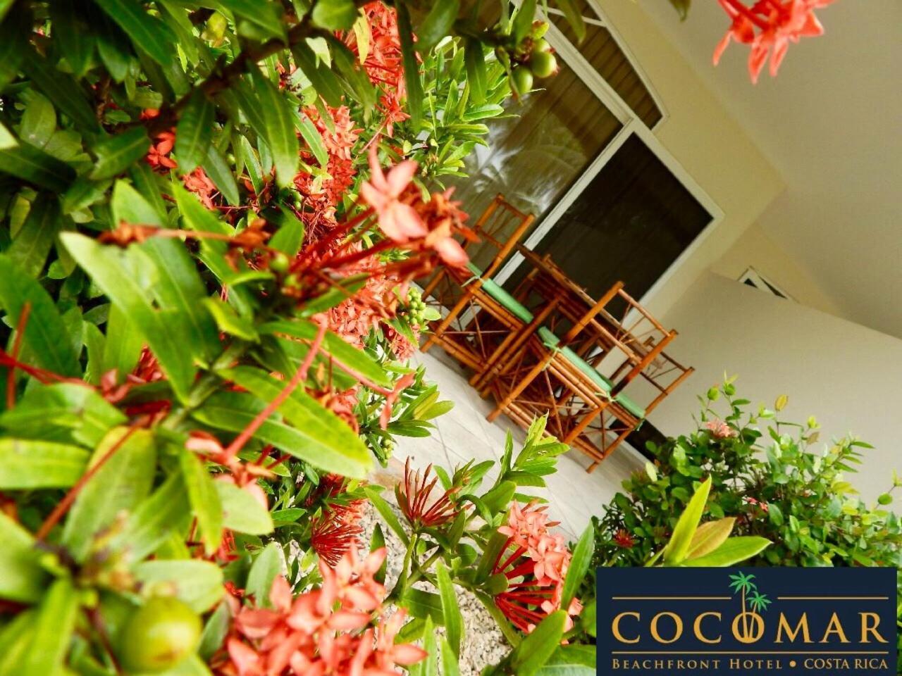 Cocomar Beachfront Hotel Quepos Zewnętrze zdjęcie