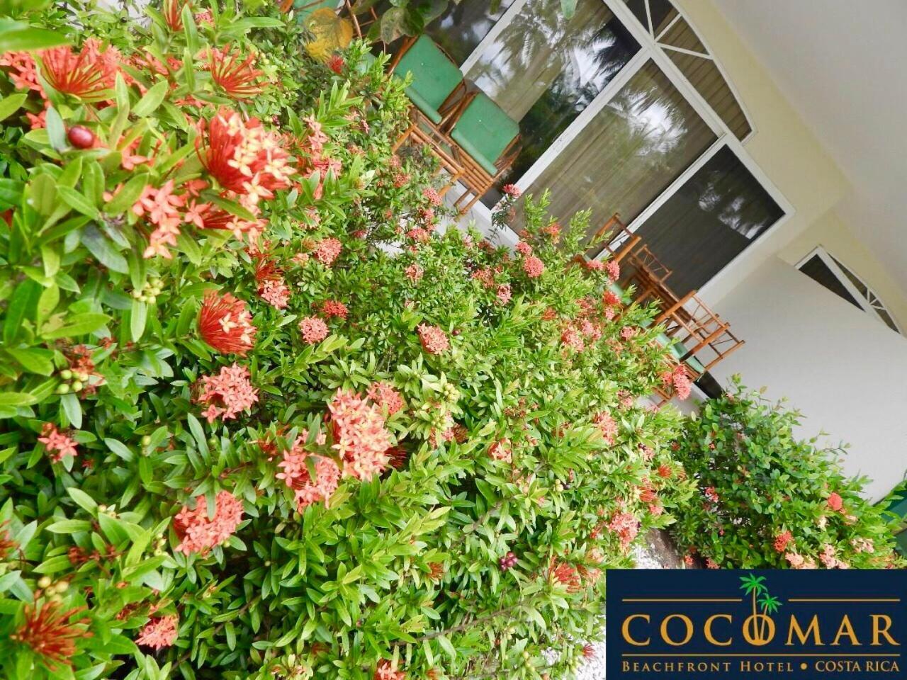 Cocomar Beachfront Hotel Parrita Zewnętrze zdjęcie